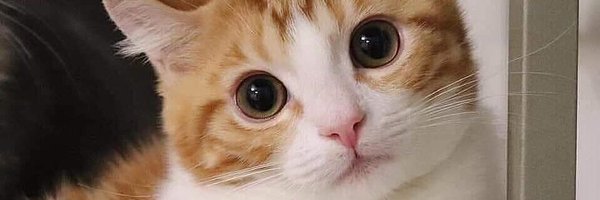 _ardh Profile Banner