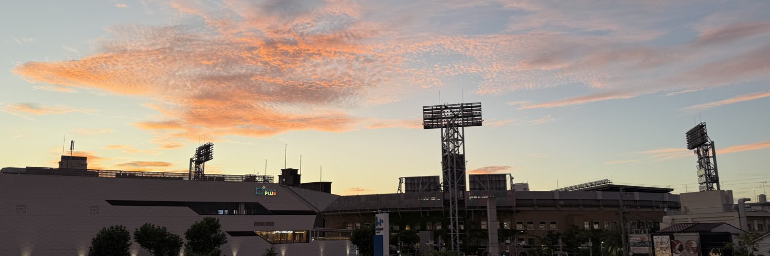 COGU☆彡🐯4/8･15･16･18･19･7/20 banner