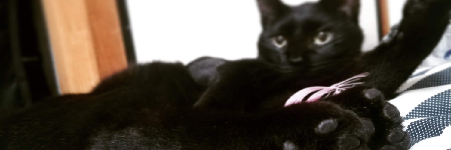 mc3RR's profile banner image