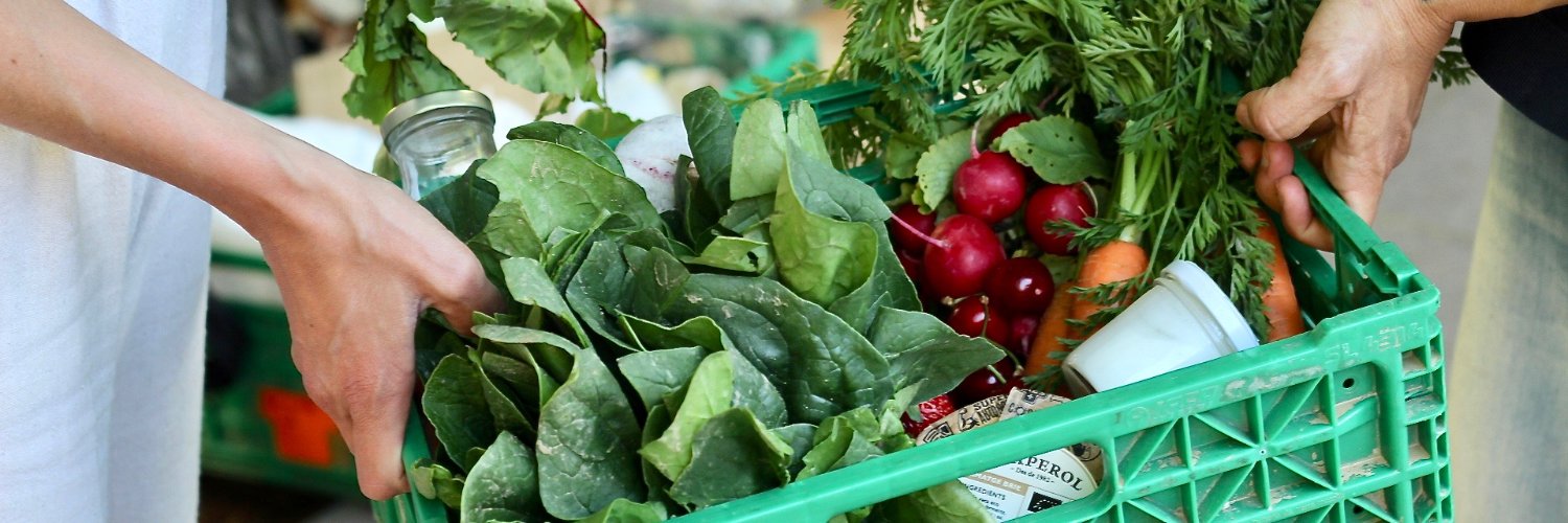 ¡La Colmena Que Dice Sí! banner