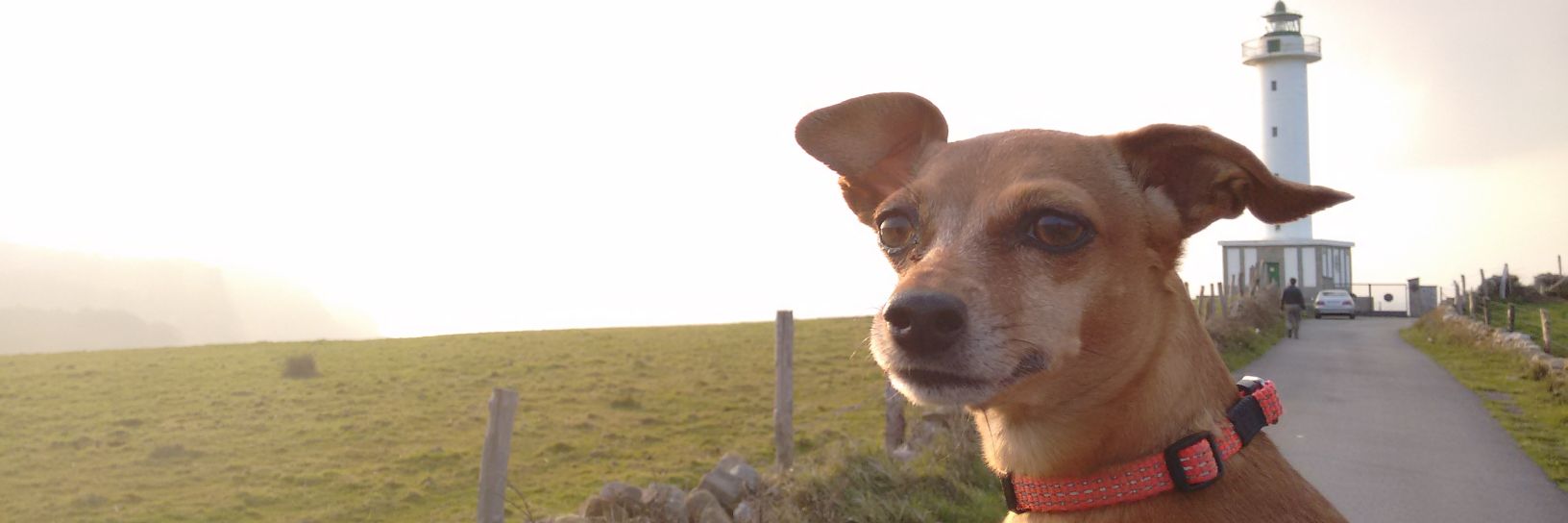 Chuski_'s profile banner image