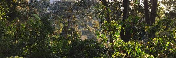 LouisRugeri's profile banner image