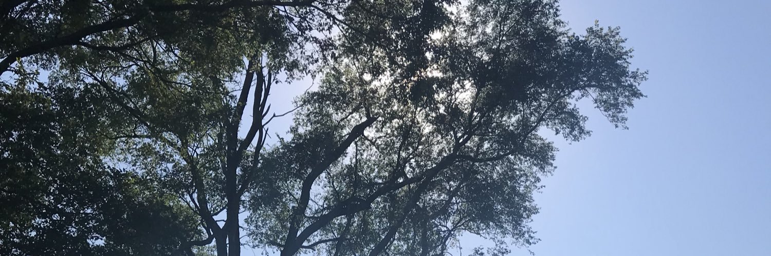 AmyInTheQC's profile banner image