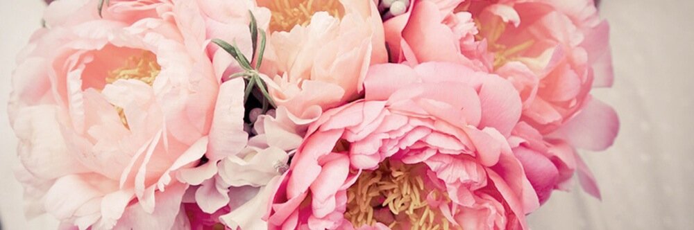 _bridgette_anne's profile banner image