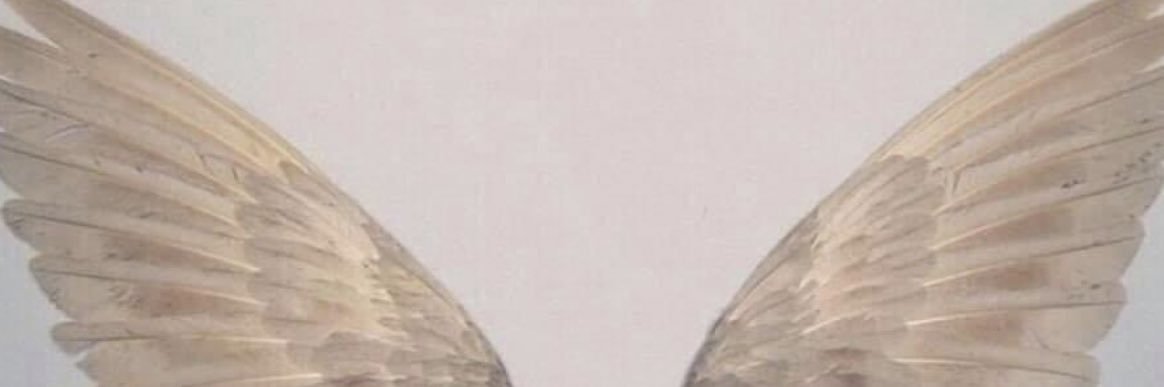 rallosjk's profile banner image