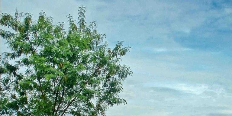 MayaRomanda's profile banner image