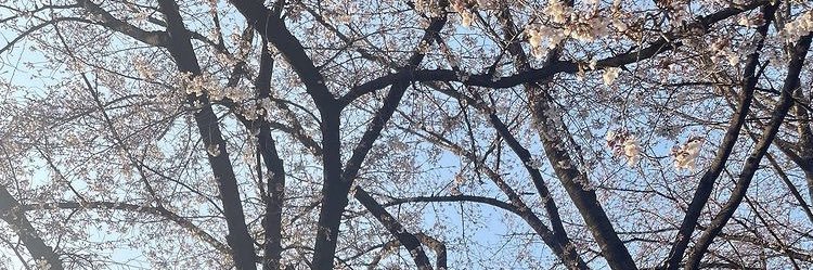 aeryaeryyy's profile banner image