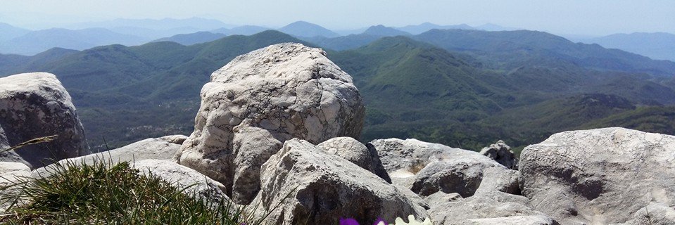 Fausto_Rizzoli's profile banner image