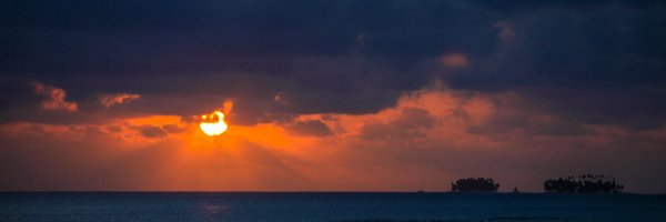 hamish_cross Profile Banner