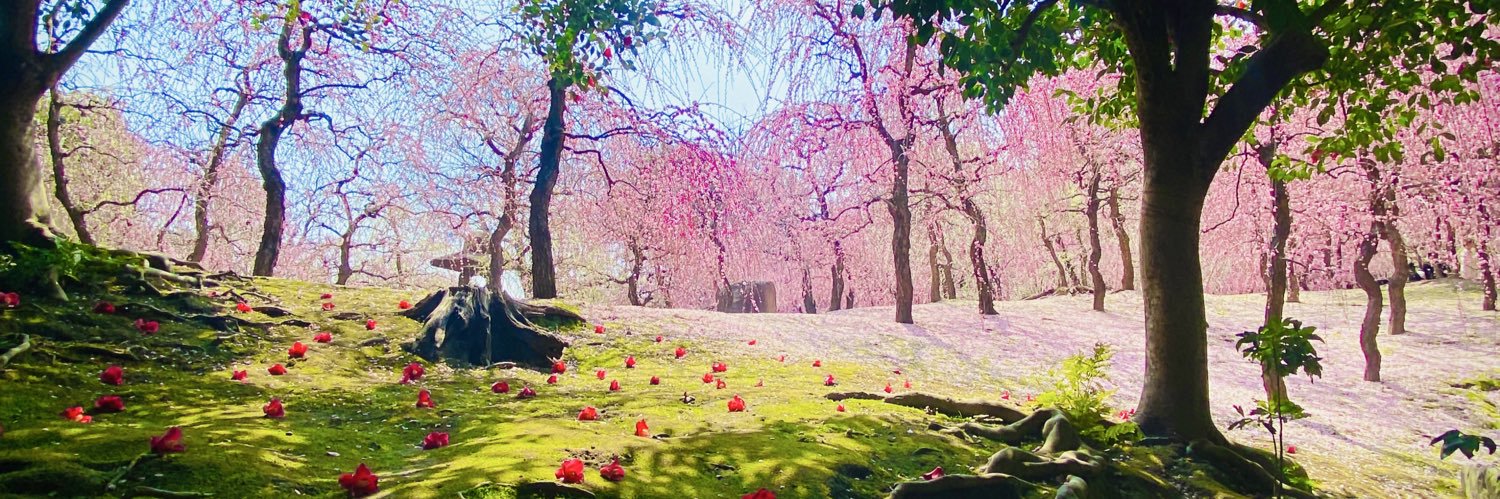misaki_chon's profile banner image