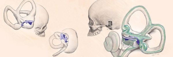csmithbioanth Profile Banner