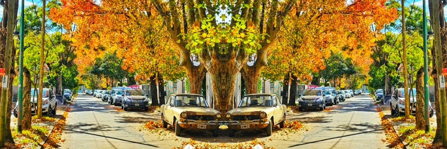 M C L S banner