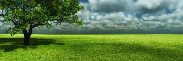 FEBRIANSYACH85's profile banner image