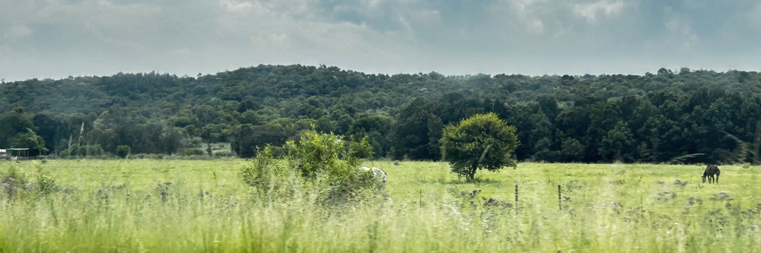 MsSeabe's profile banner image