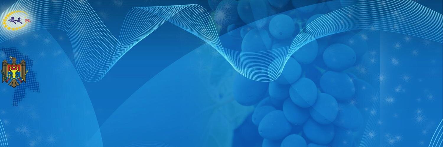 Dorin_Chirtoaca's profile banner image