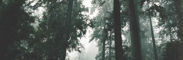 AndreesBurgos's profile banner image