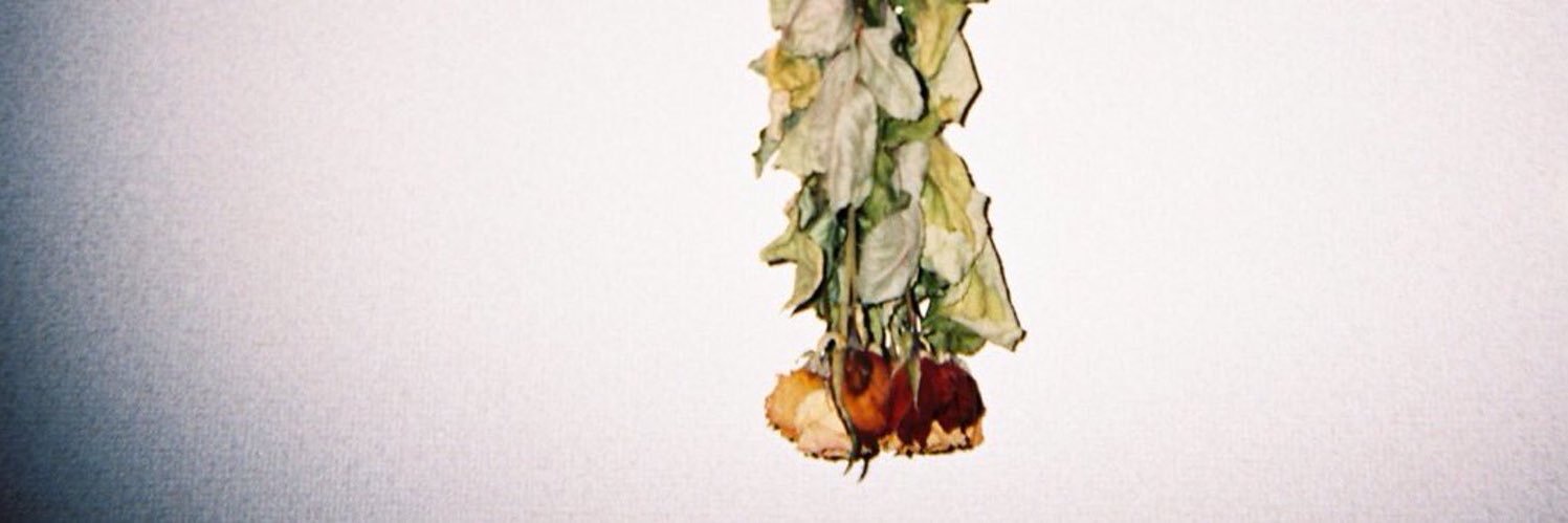 mkyn___5's profile banner image