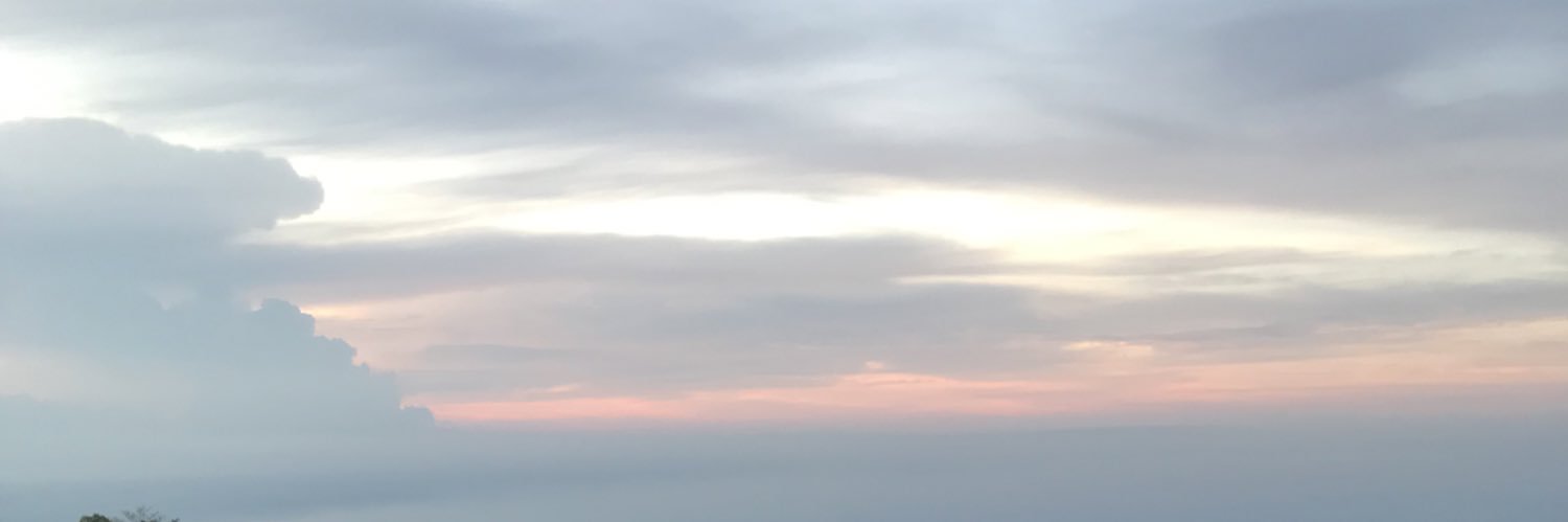 coconutsss___'s profile banner image