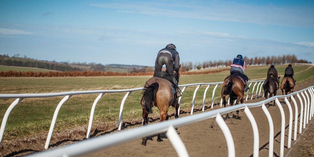 Rose Dobbin Racing banner