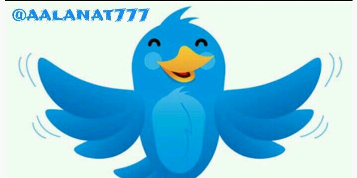 aalanat777's profile banner image
