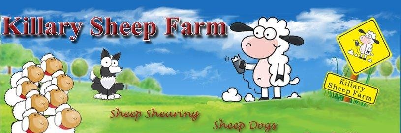 Killary Sheep Farm banner