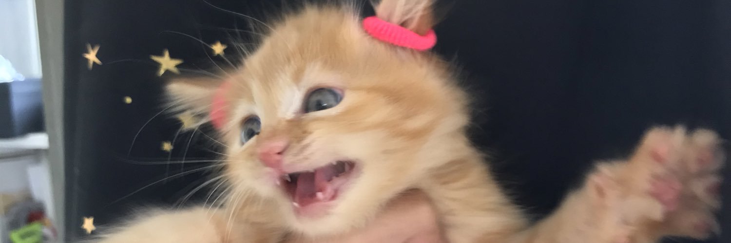 AliyaFthh's profile banner image