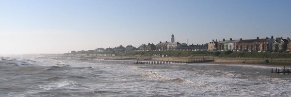 DavidTree Profile Banner