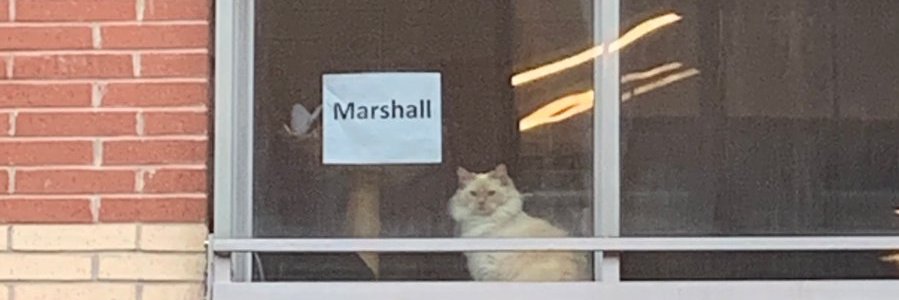 itsmarshallb's profile banner image
