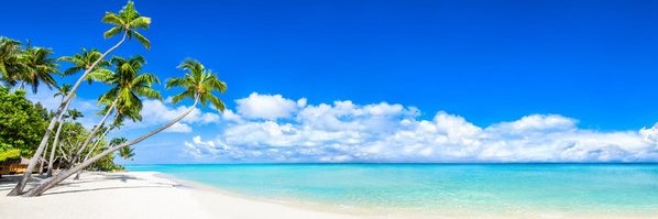 BlueOasis21's profile banner image