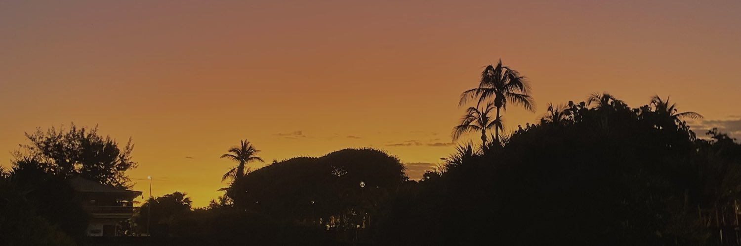 lnelola's profile banner image
