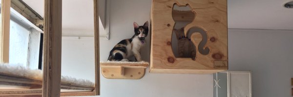 Gatificando Profile Banner