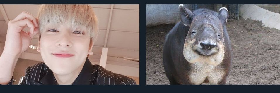 ongbobae's profile banner image