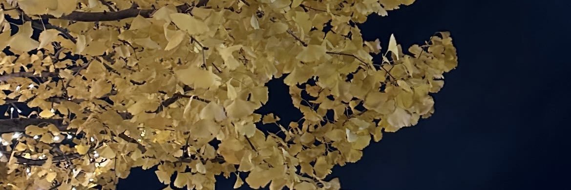 maririntin's profile banner image