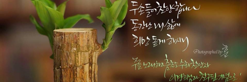 Holy_Sign's profile banner image