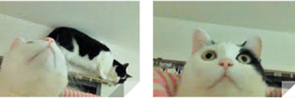 whimeda Profile Banner