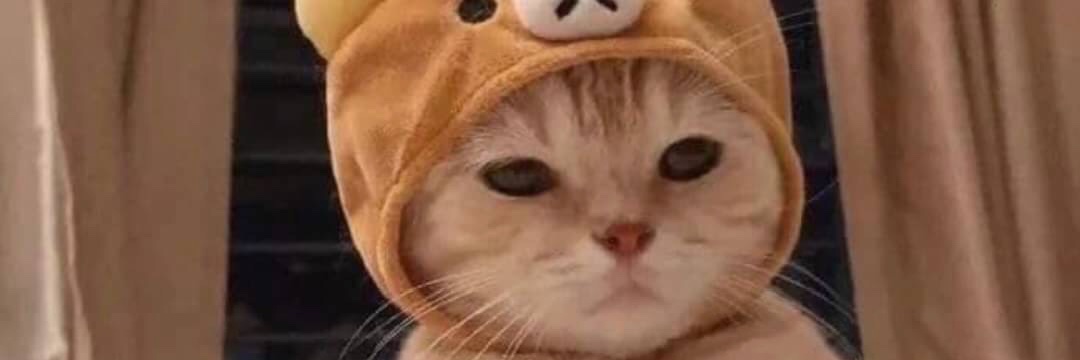 frisnaFH's profile banner image