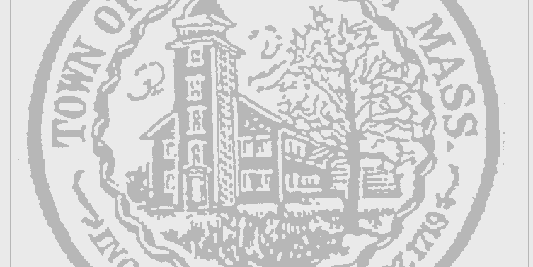 Town of Bellingham banner