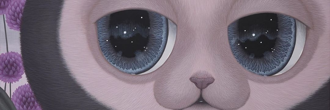 persona001🚀️️️️️️ banner