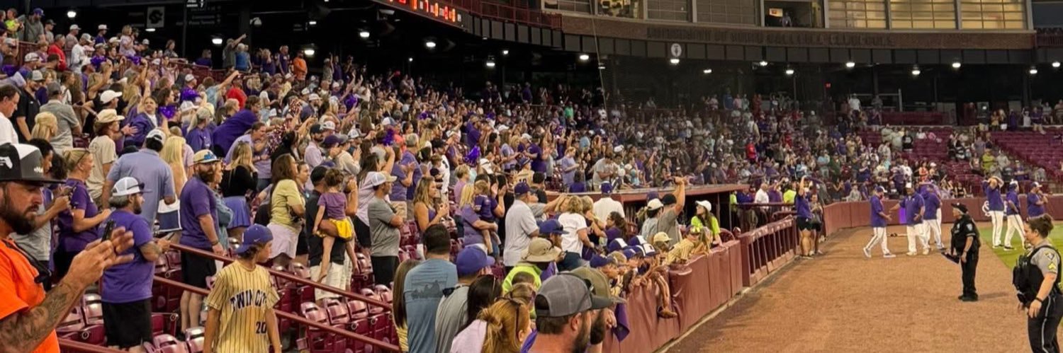 Batesburg-Leesville Baseball banner