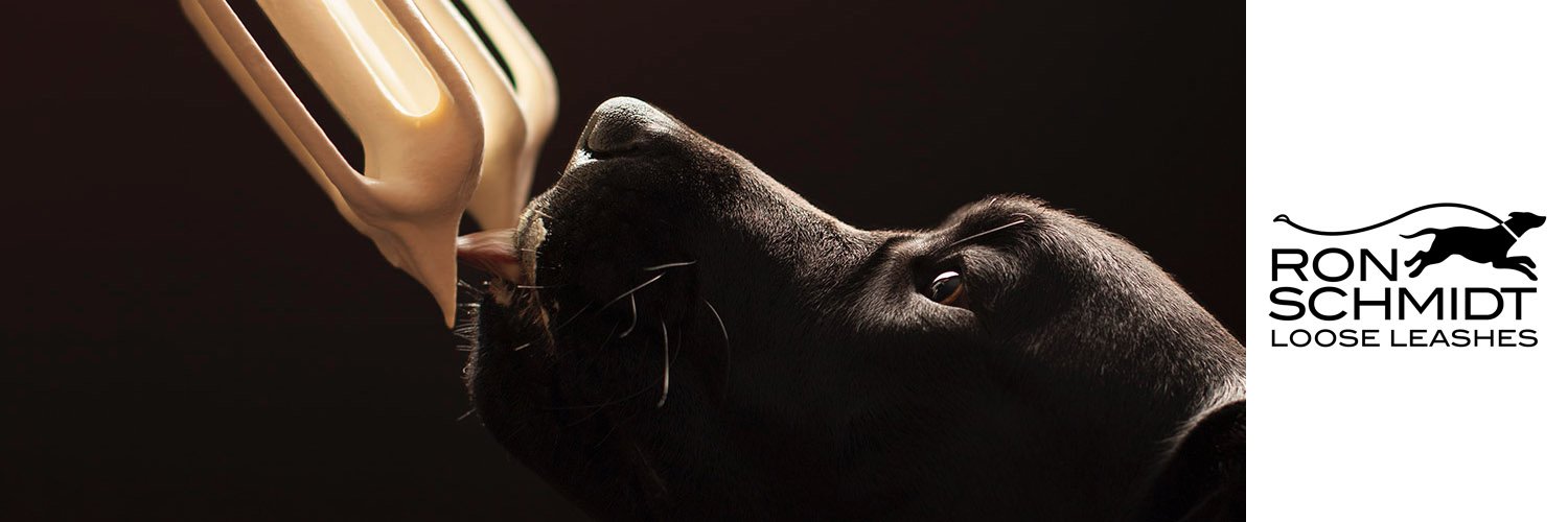 RonSchmidtPhoto's profile banner image