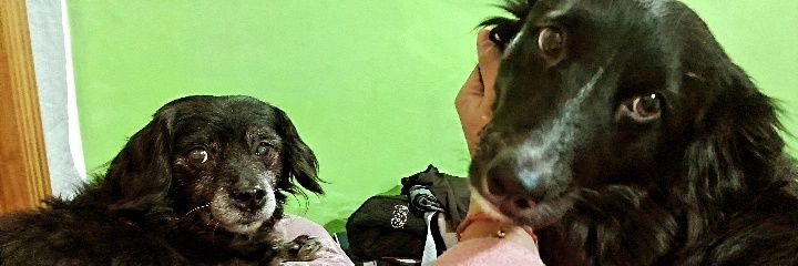 Liliacostaaa's profile banner image