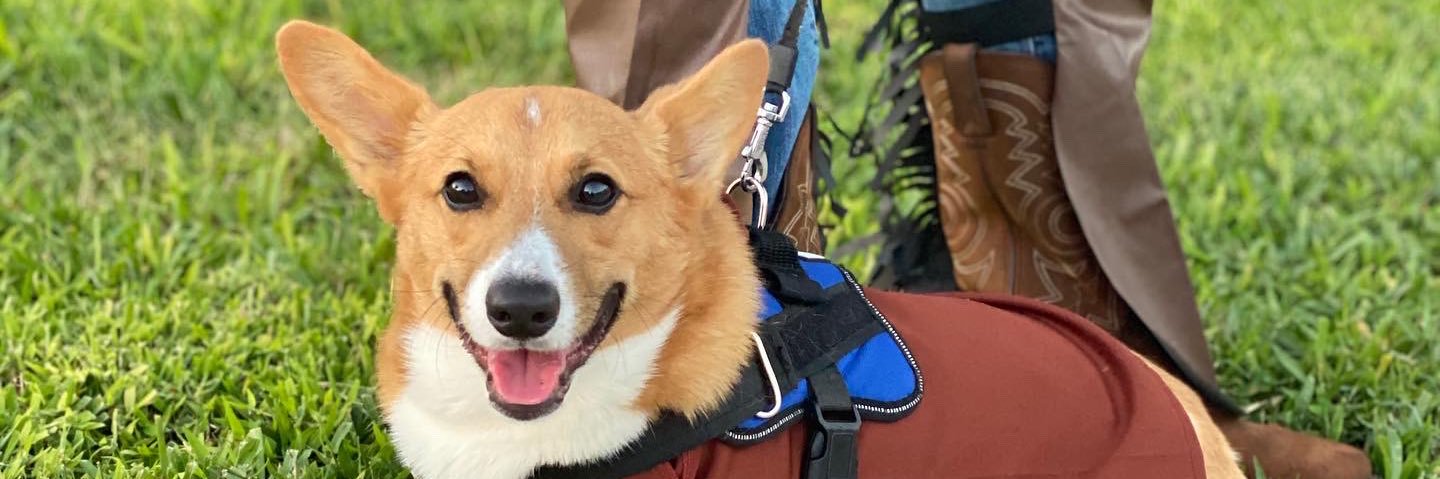 💙 Danielle △⃒⃘💙 banner