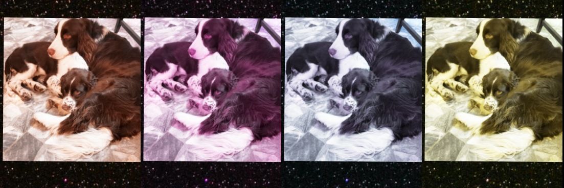 nancylu_lpz's profile banner image