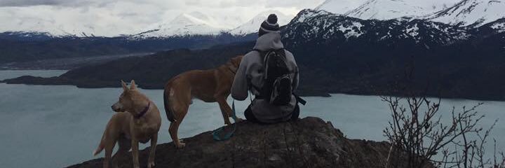 NateO29's profile banner image