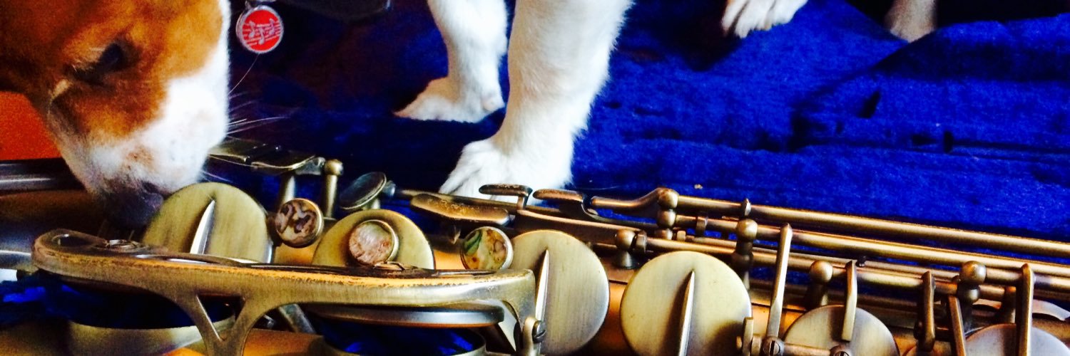 Lizzybennie's profile banner image