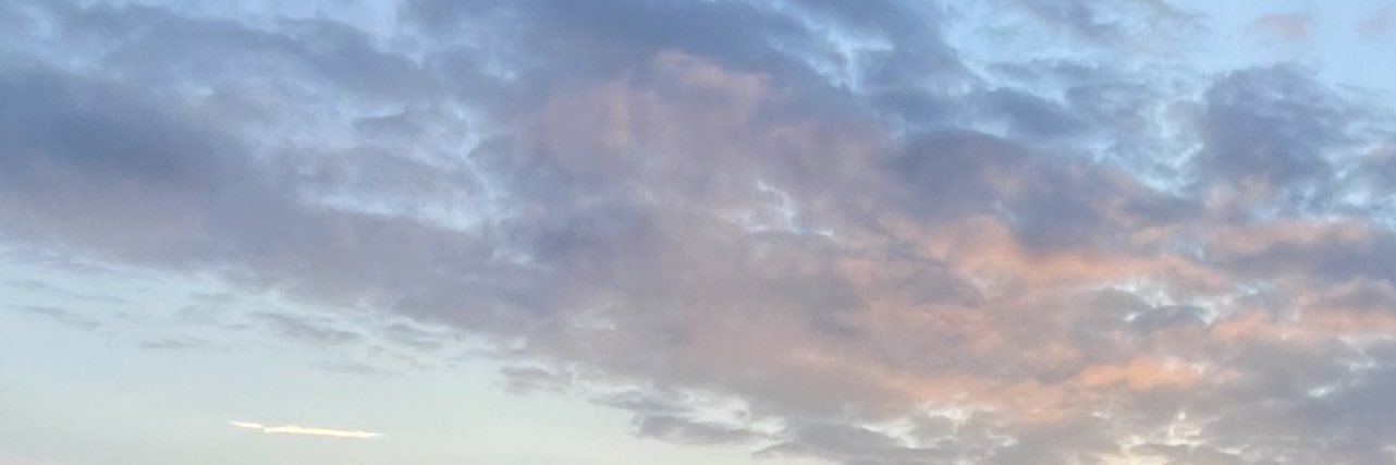 miguepoulain's profile banner image
