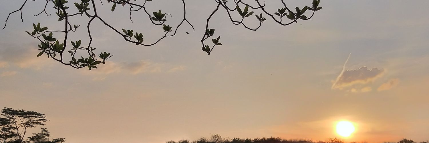 brownlyfun's profile banner image