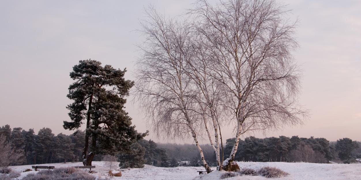 EvgEvg13's profile banner image