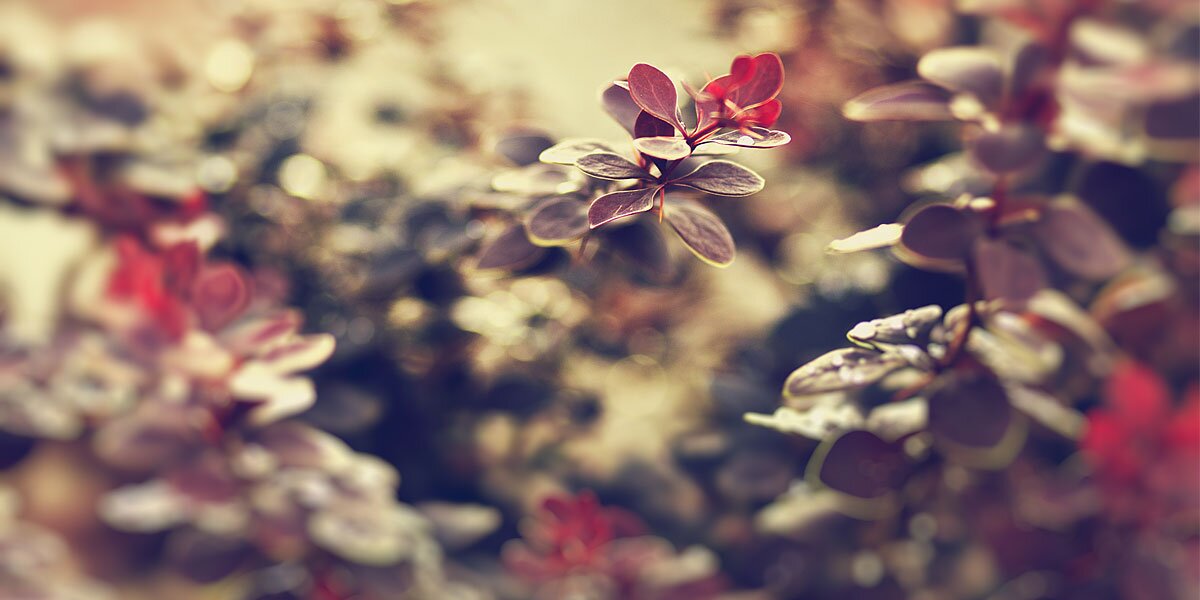 Jorge Herrero banner