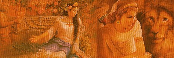 Lili🌳🌸 banner